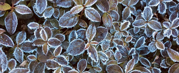 >> Damit Sie die Bilder unserer NL sehen können, lassen Sie bitte externe Inhalte von uns in Ihrem E-Mail-Programm zu! <<