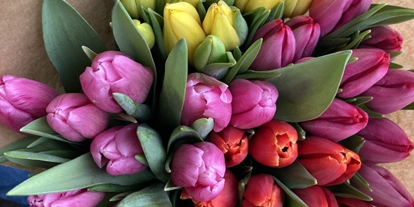 >> Damit Sie die Bilder unserer NL sehen können, lassen Sie bitte externe Inhalte von uns in Ihrem E-Mail-Programm zu! <<